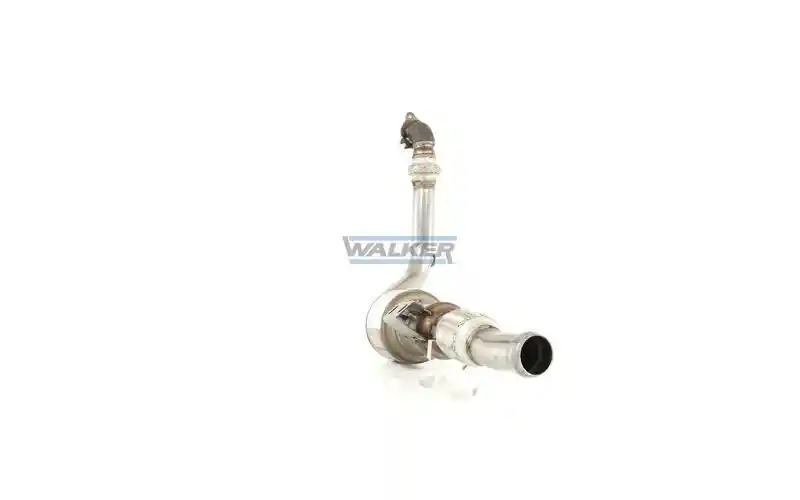 WALKER 28509