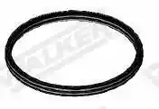 WALKER 80257