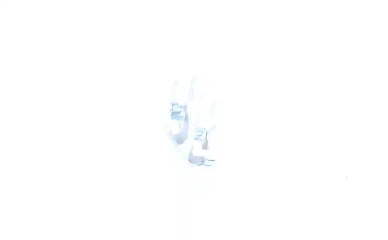 WALKER 80381