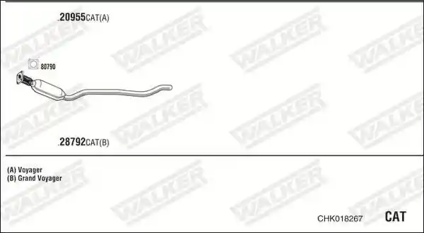 WALKER CHK018267