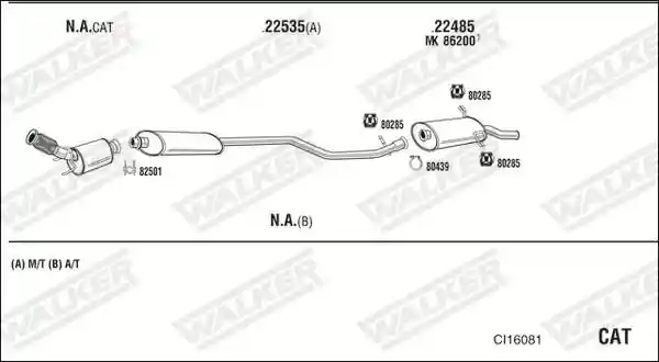 WALKER CI16081