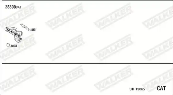 WALKER CIH19065