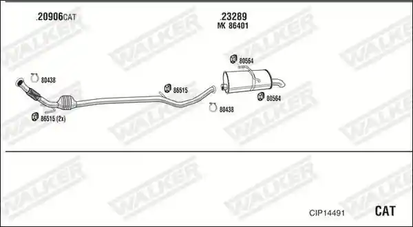 WALKER CIP14491
