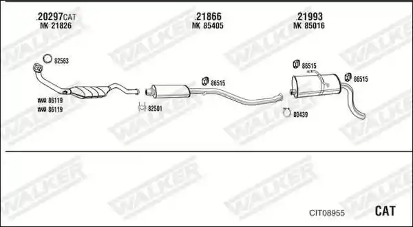 WALKER CIT08955