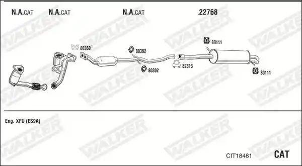 WALKER CIT18461
