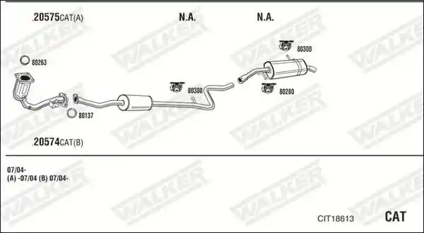 WALKER CIT18613