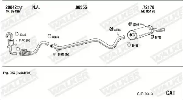 WALKER CIT19010