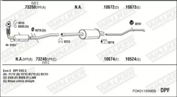 WALKER FOK011956BB