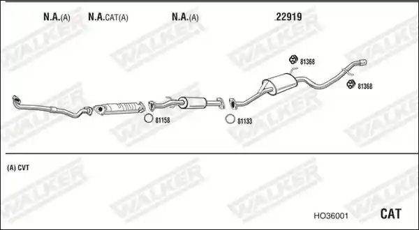 WALKER HO36001