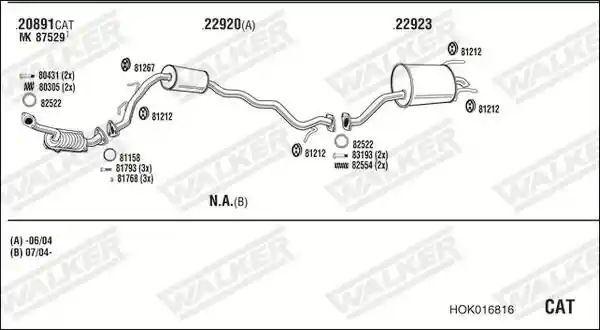 WALKER HOK016816