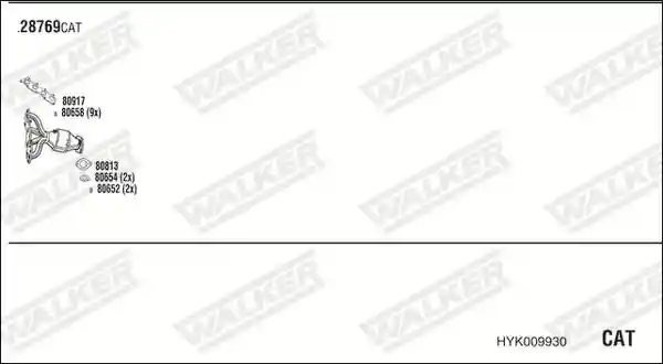 WALKER HYK009930