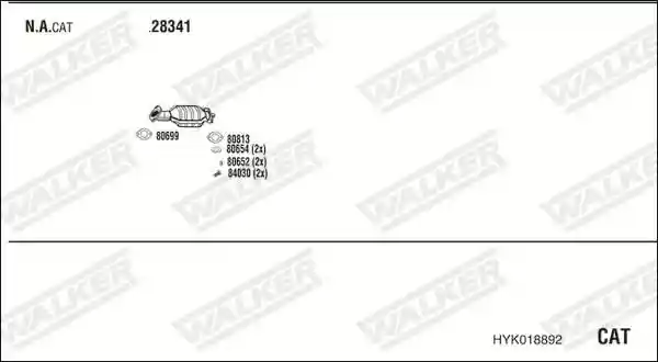 WALKER HYK018892