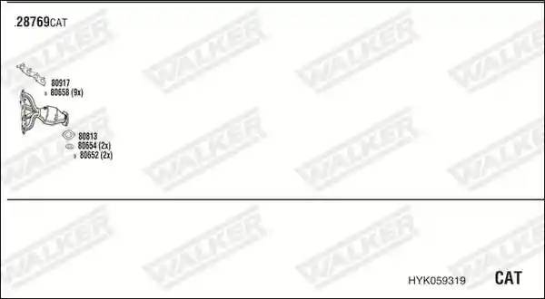 WALKER HYK059319