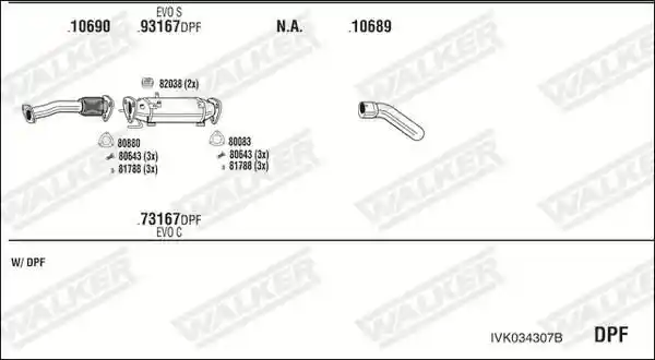 WALKER IVK034307B