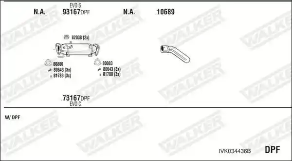 WALKER IVK034436B