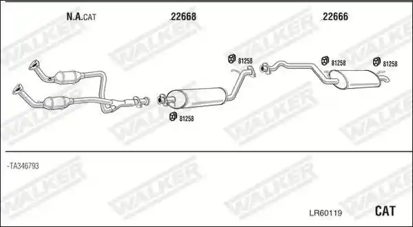 WALKER LR60119