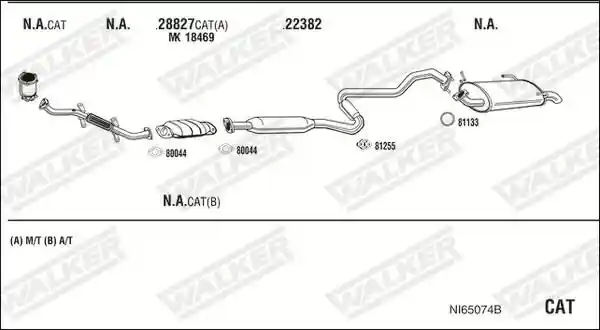 WALKER NI65074B