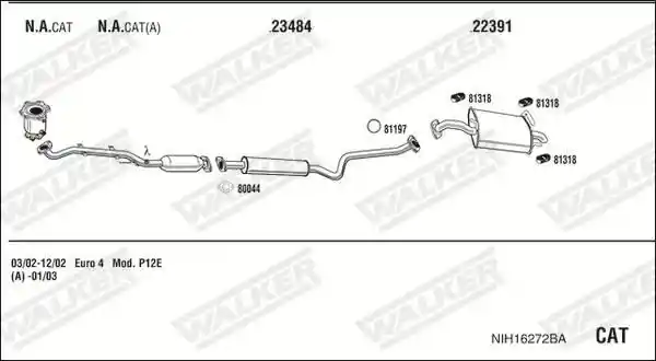 WALKER NIH16272BA