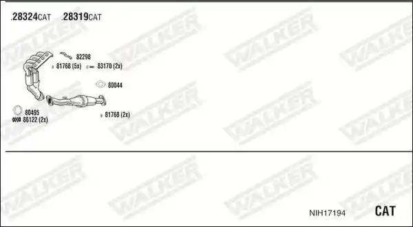 WALKER NIH17194
