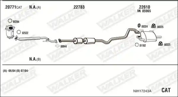 WALKER NIH17243A