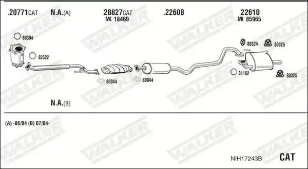 WALKER NIH17243B