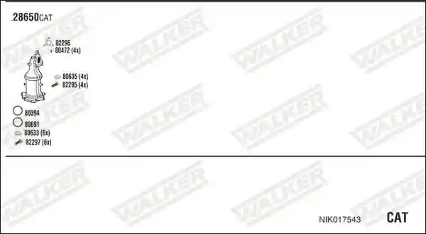 WALKER NIK017543