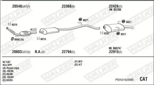 WALKER PEK016289B