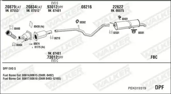 WALKER PEK019319