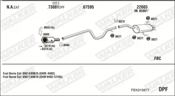 WALKER PEK019877