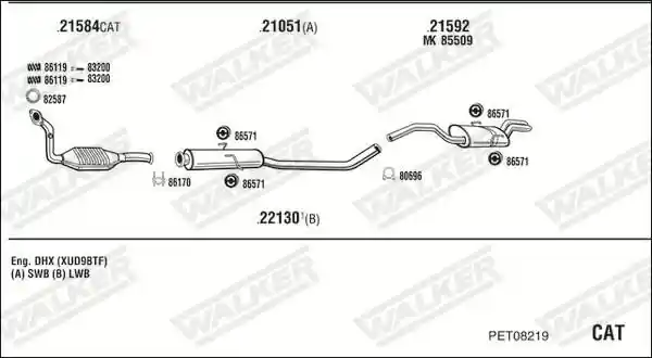 WALKER PET08219