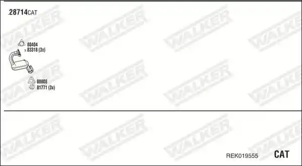 WALKER REK019555