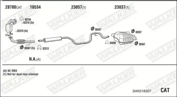 WALKER SAK018567