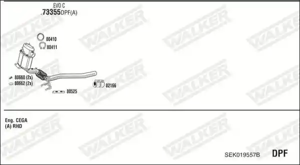 WALKER SEK019557B