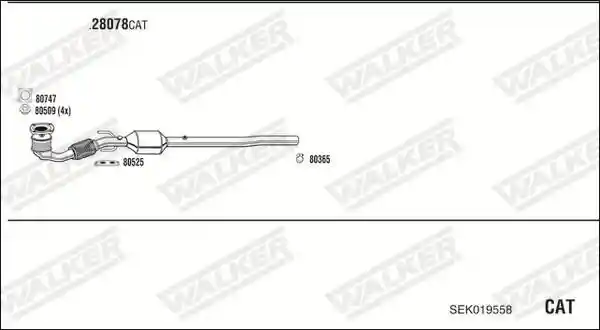 WALKER SEK019558