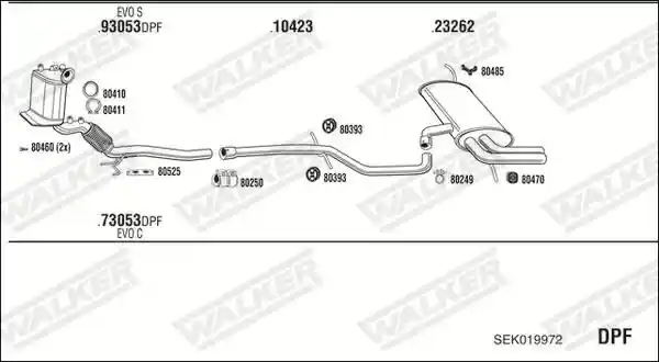 WALKER SEK019972