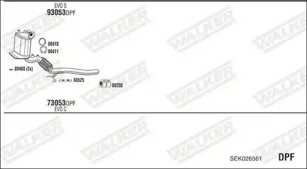 WALKER SEK026561