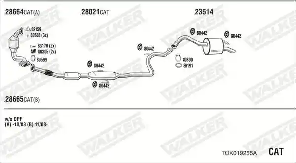 WALKER TOK019255A