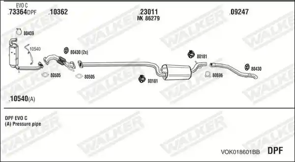 WALKER VOK018601BB