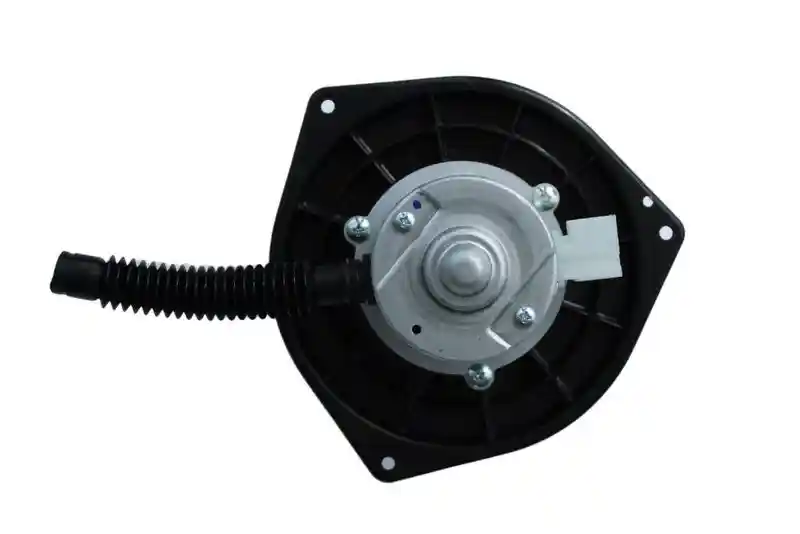 WALKER WBL01119
