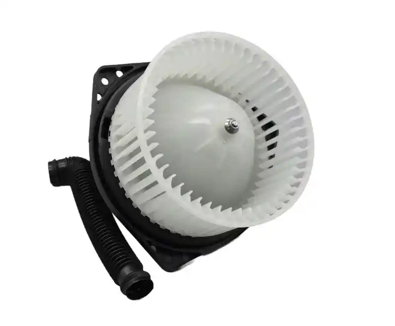 WALKER WBL01174