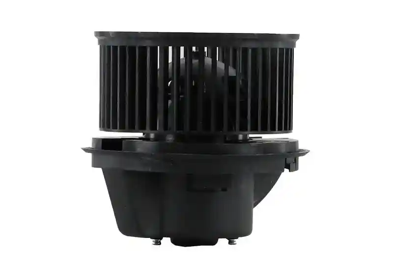 WALKER WBL01436