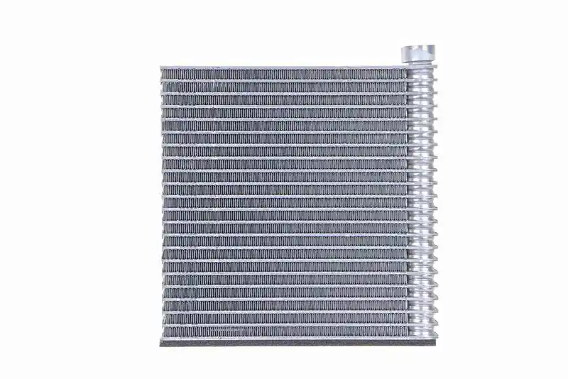 WALKER WEV00123 WALKER WEV00123