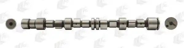 WILMINK GROUP WG1093050