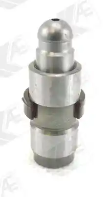 WILMINK GROUP WG1172045