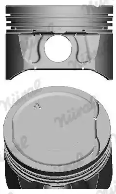 WILMINK GROUP WG1175094
