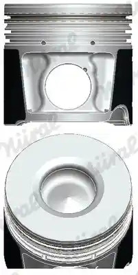 WILMINK GROUP WG1175265 WILMINK GROUP WG1175265