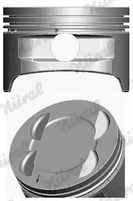 WILMINK GROUP WG1175285