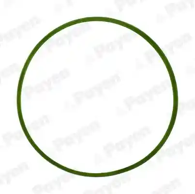 WILMINK GROUP WG1182070