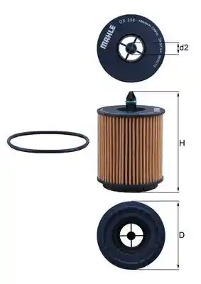WILMINK GROUP WG1217345