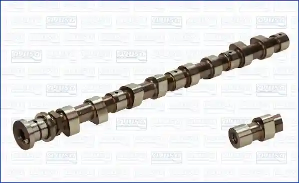 WILMINK GROUP WG1456501